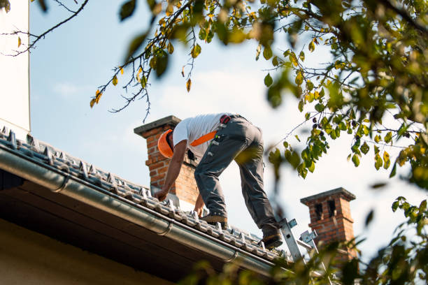 Best Commercial Roofing Services  in Wewahitchka, FL