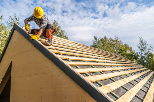 Best Roof Gutter Cleaning  in Wewahitchka, FL